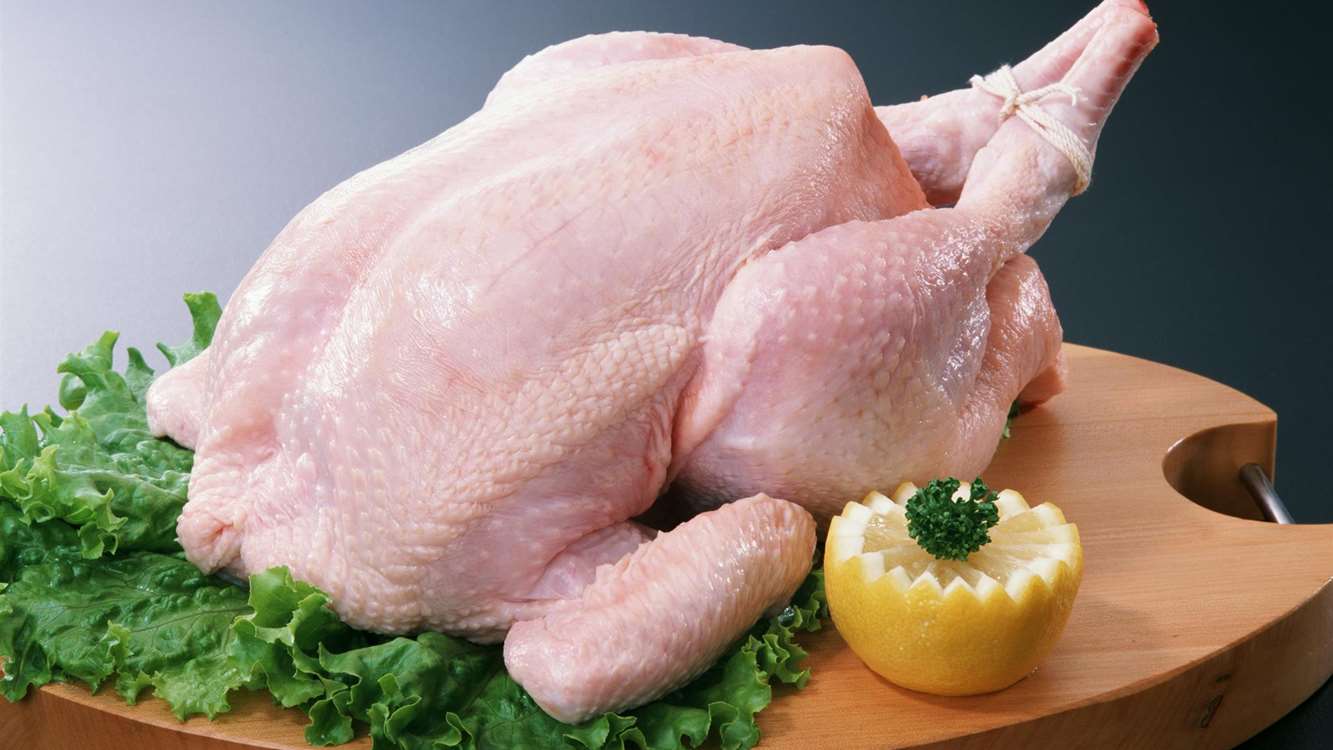بهبود امنیت غذایی و تغذیه با مصرف، تولید و ترویج مرغ سایز 